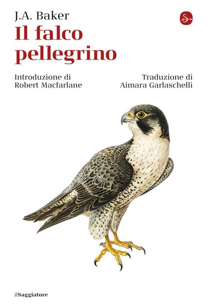 Il falco pellegrino - J. A. Baker,Aimara Garlaschelli - ebook