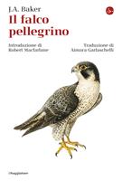 Nome prodotto