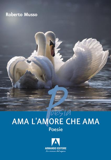 Ama l'amore che ama - Roberto Musso - copertina
