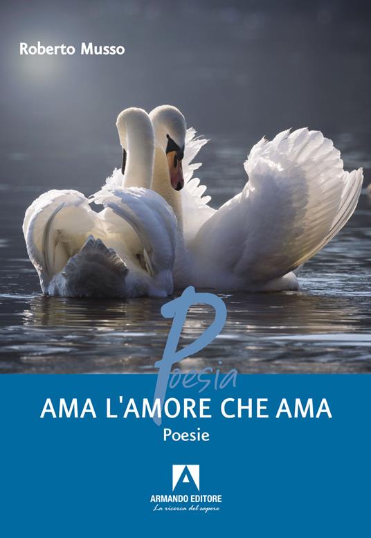 Ama l'amore che ama - Roberto Musso - copertina