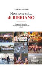 Non so se sai... di Bibbiano. La grande battaglia del popolo dei diritti umani in Italia