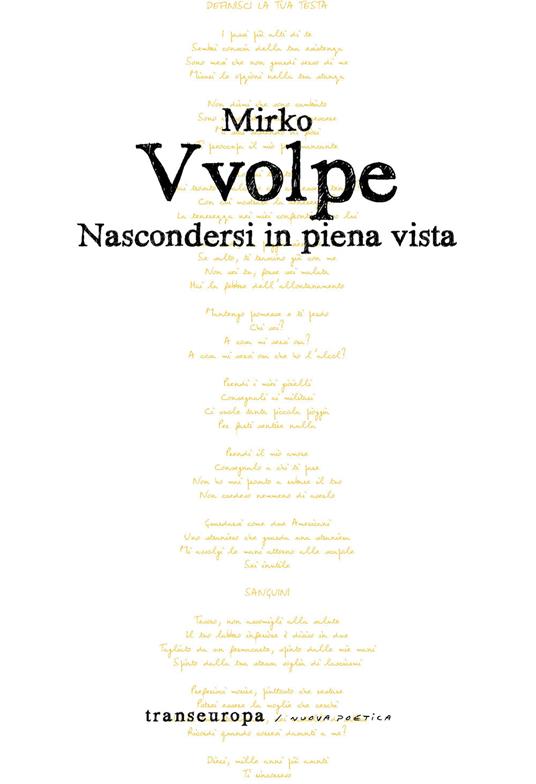 Nascondersi in piena vista - Vvolpe Mirko - copertina
