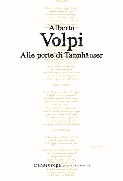 Alle porte di Tannhäuser - Alberto Volpi - copertina