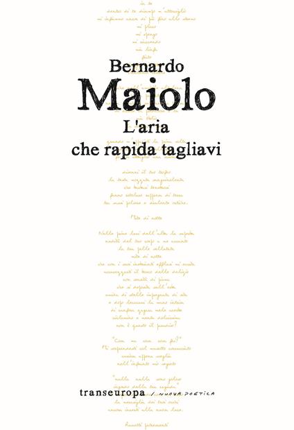 L'aria che rapida tagliavi - Bernardo Maiolo - copertina