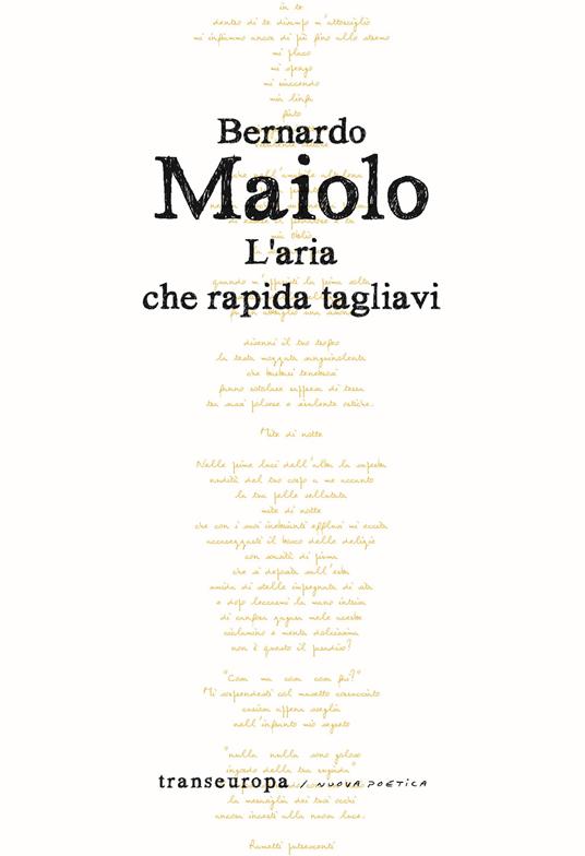 L'aria che rapida tagliavi - Bernardo Maiolo - copertina