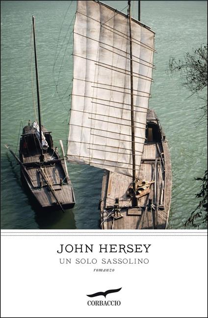Un solo sassolino - John Hersey,Cesare Vivante - ebook