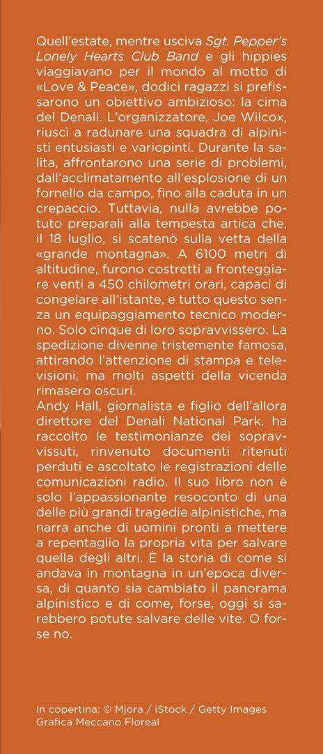 Inferno bianco - Andy Hall - 4