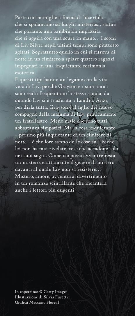Silver. Il libro dei sogni - Kerstin Gier - 4
