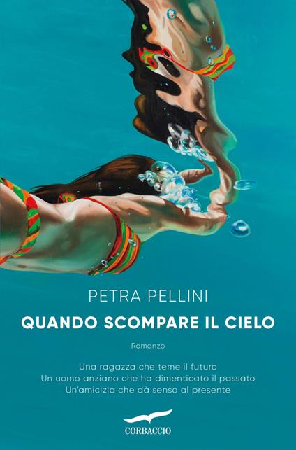 Quando scompare il cielo - Petra Pellini,Mara Ronchetti - ebook
