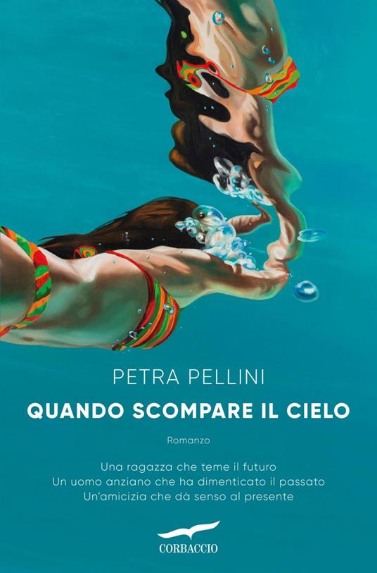 Quando scompare il cielo - Petra Pellini,Mara Ronchetti - ebook