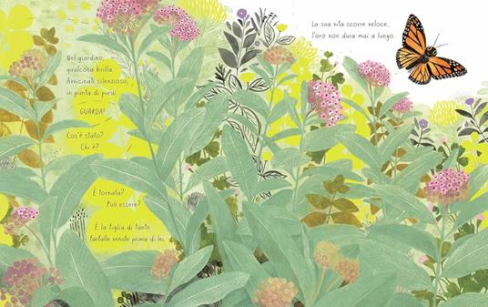 Vita da farfalla. Ediz. a colori - Kirsten Hall - 2