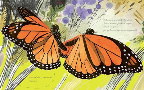 Vita da farfalla. Ediz. a colori - Kirsten Hall - 3