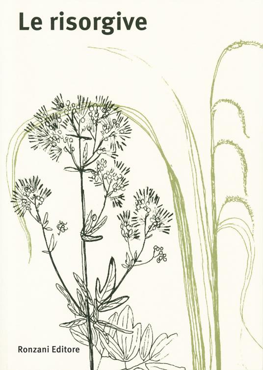 Le risorgive - copertina