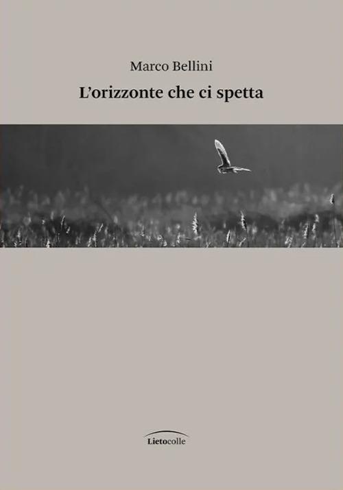 L'orizzonte che ci spetta - Marco Bellini - copertina