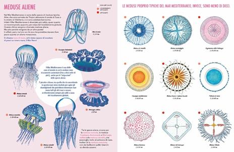 Il giardino delle meduse - Paola Vitale - 2