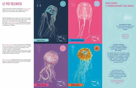 Il giardino delle meduse - Paola Vitale - 3