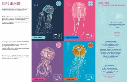 Il giardino delle meduse - Paola Vitale - 3