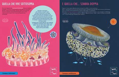 Il giardino delle meduse - Paola Vitale - 4