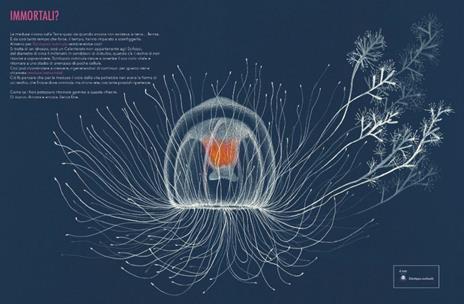 Il giardino delle meduse - Paola Vitale - 5
