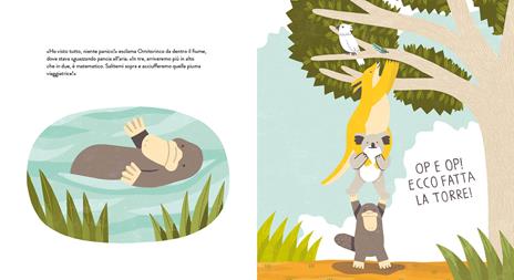 La piuma viaggiatrice. Ediz. illustrata - Fred Paronuzzi - 3