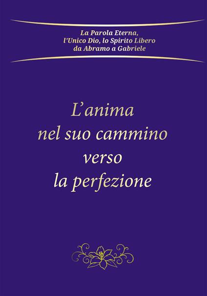 L' anima nel suo cammino verso la perfezione - Gabriele - ebook