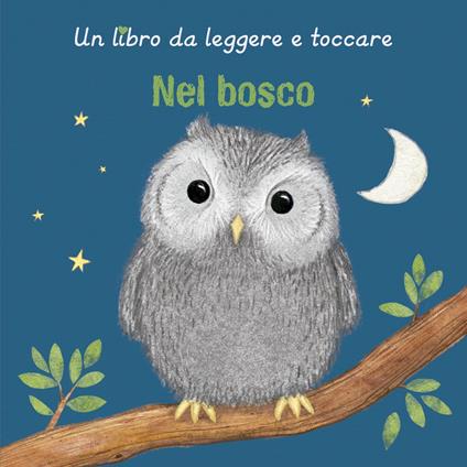 Nel bosco. Ediz. a colori - Sharon Harmer - copertina