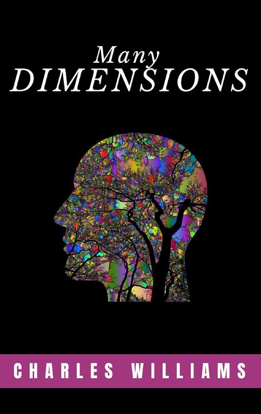Many Dimensions