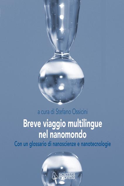 Breve viaggio multilingue nel nanomondo. Con un glossario di nanoscienze e nanotecnologie - copertina