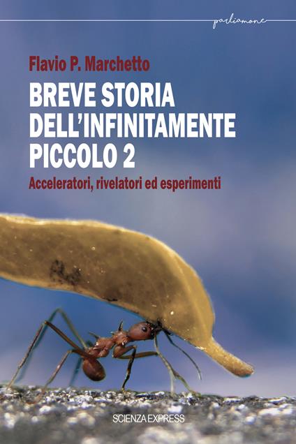 Breve storia dell'infinitamente piccolo. Vol. 2 - Flavio P. Marchetto - copertina