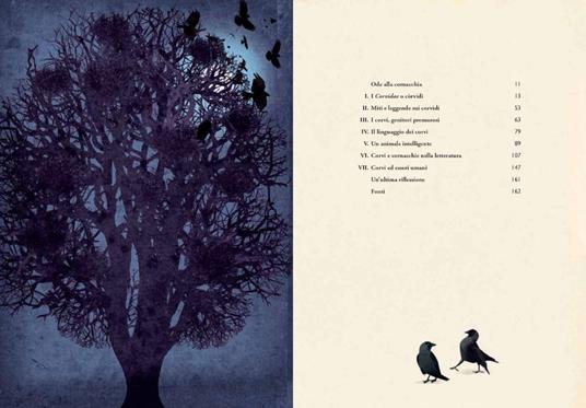 Di corvi e cornacchie. Ediz. a colori - Britta Teckentrup - 6