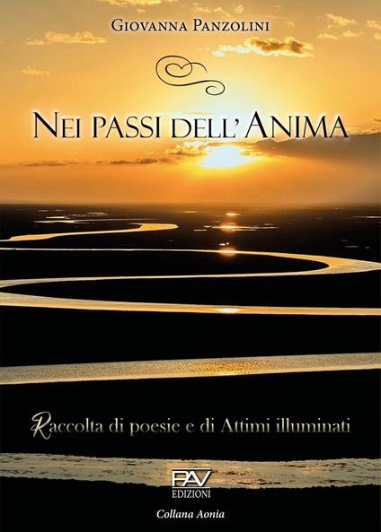 Nei passi dell'anima. Raccolta di poesie e di attimi illuminati - Giovanna Panzolini - copertina