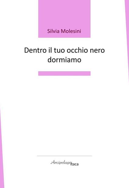 Dentro il tuo occhio nero dormiamo - Silvia Molesini - copertina