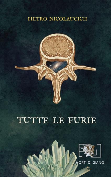 Tutte le furie - Pietro Nicolaucich - copertina