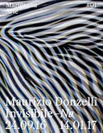 Maurizio Donzelli. Invisibile-No. Ediz. italiana e inglese
