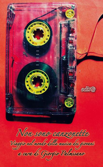 Non sono canzonette. Viaggio nel mondo della musica degli adolescenti - Giorgio Palmisano - copertina