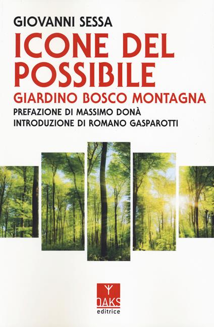 Icone del possibile. Giardino, bosco, montagna - Giovanni Sessa - copertina