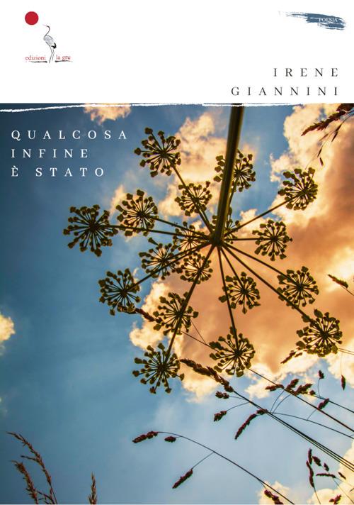 Qualcosa infine è stato - Irene Giannini - copertina