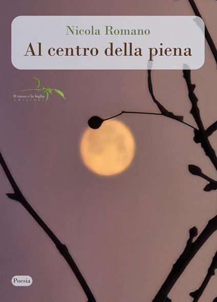 Al centro della piena - Nicola Romano - copertina