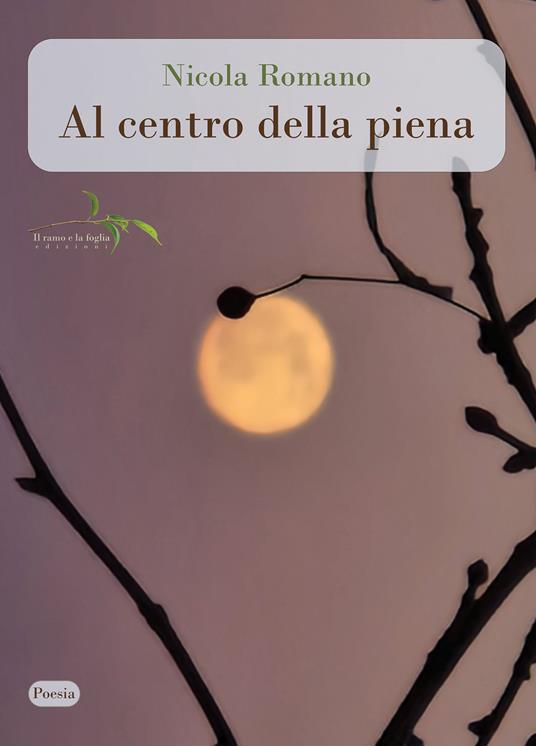 Al centro della piena - Nicola Romano - copertina