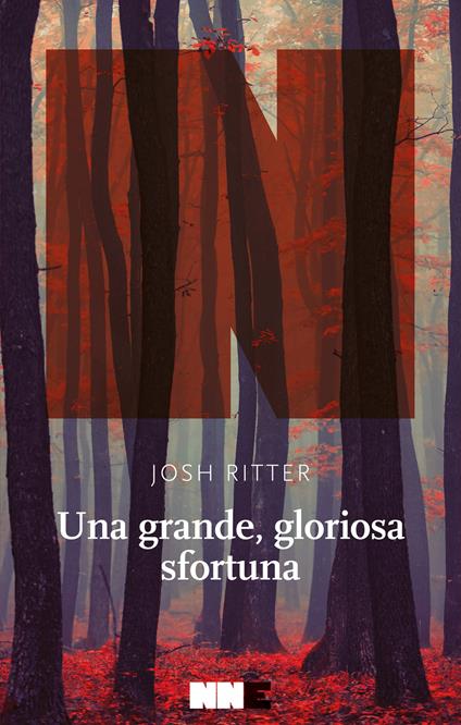 Una grande, gloriosa sfortuna - Josh Ritter,Francesca Pellas - ebook