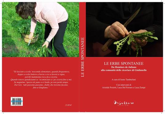 «Le erbe spontanee». Da Homines de Juliano alla comunità delle cicoriare di Giulianello - 2