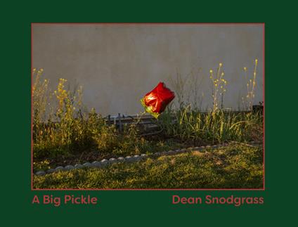 A big pickle - Dean Snodgrass - copertina