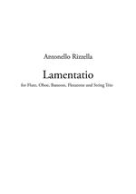 Lamentatio. For flute, oboe, bassoon, flexatone and string trio. Partitura