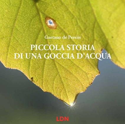 Piccola storia di una goccia d'acqua. Ediz. a colori - Gaetano De Persiis - copertina