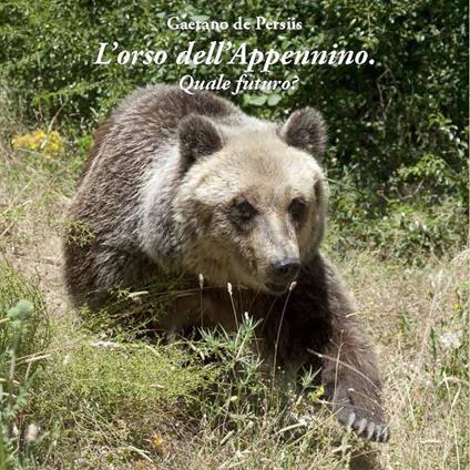 L'orso dell'Appennino. Quale futuro? - Gaetano De Persiis - copertina