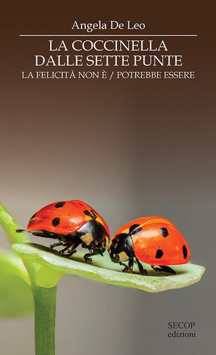 La coccinella dalle sette punte. La felicità non è. La felicità potrebbe essere - Angela De Leo - copertina