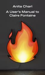 A User’s Manual to Claire Fontaine