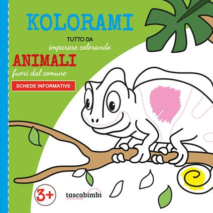 Animali fuori dal comune 3+. Tutto da imparare colorando. Ediz. illustrata - Alida Senici,Caterina Borgato - copertina