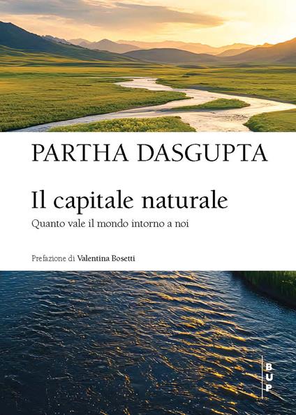 Il capitale naturale. Quanto vale il mondo intorno a noi - Partha Dasgupta - copertina