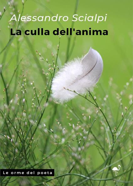 La culla dell'anima - Alessandro Scialpi - copertina